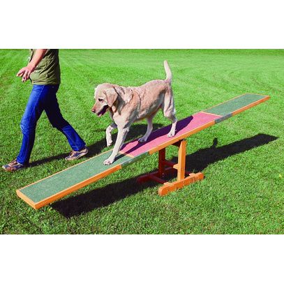 L0266-Passerelle Agility