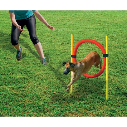 L0399-Beeztees Agility Hoop Set