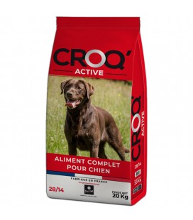 Croquette Croq'Active Chien