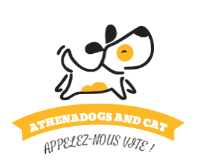 RESERVATION Toilettage Animalier ACOMPTE