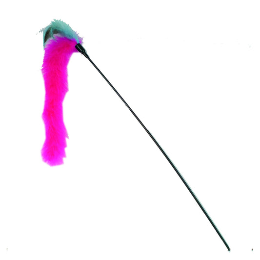 O2517