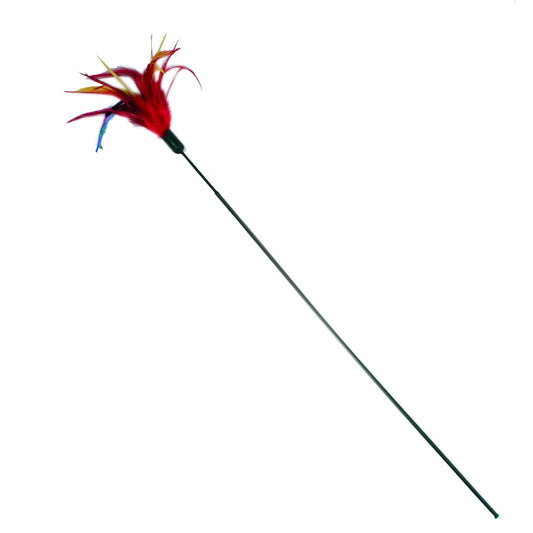 O2518