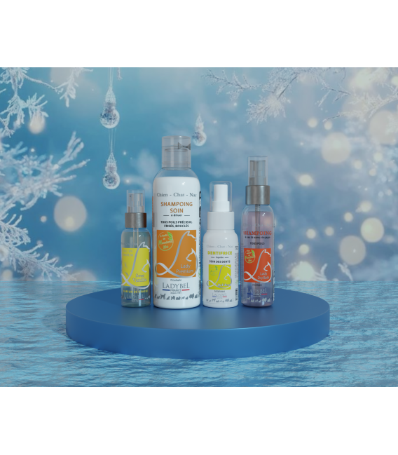 Coffret de Noel Lady Velours