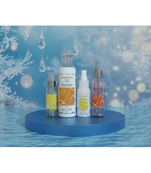 Coffret de Noel Lady Velours