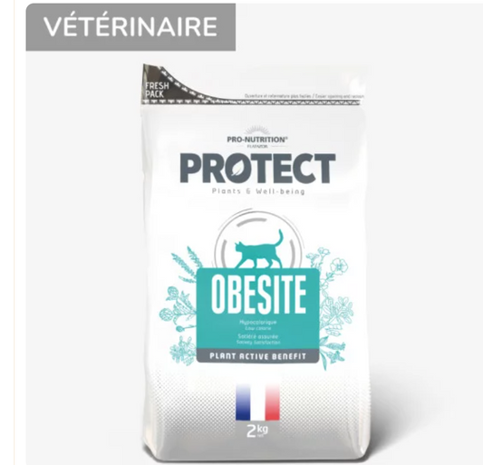 PROTECT CHAT OBÉSITÉ 2KG