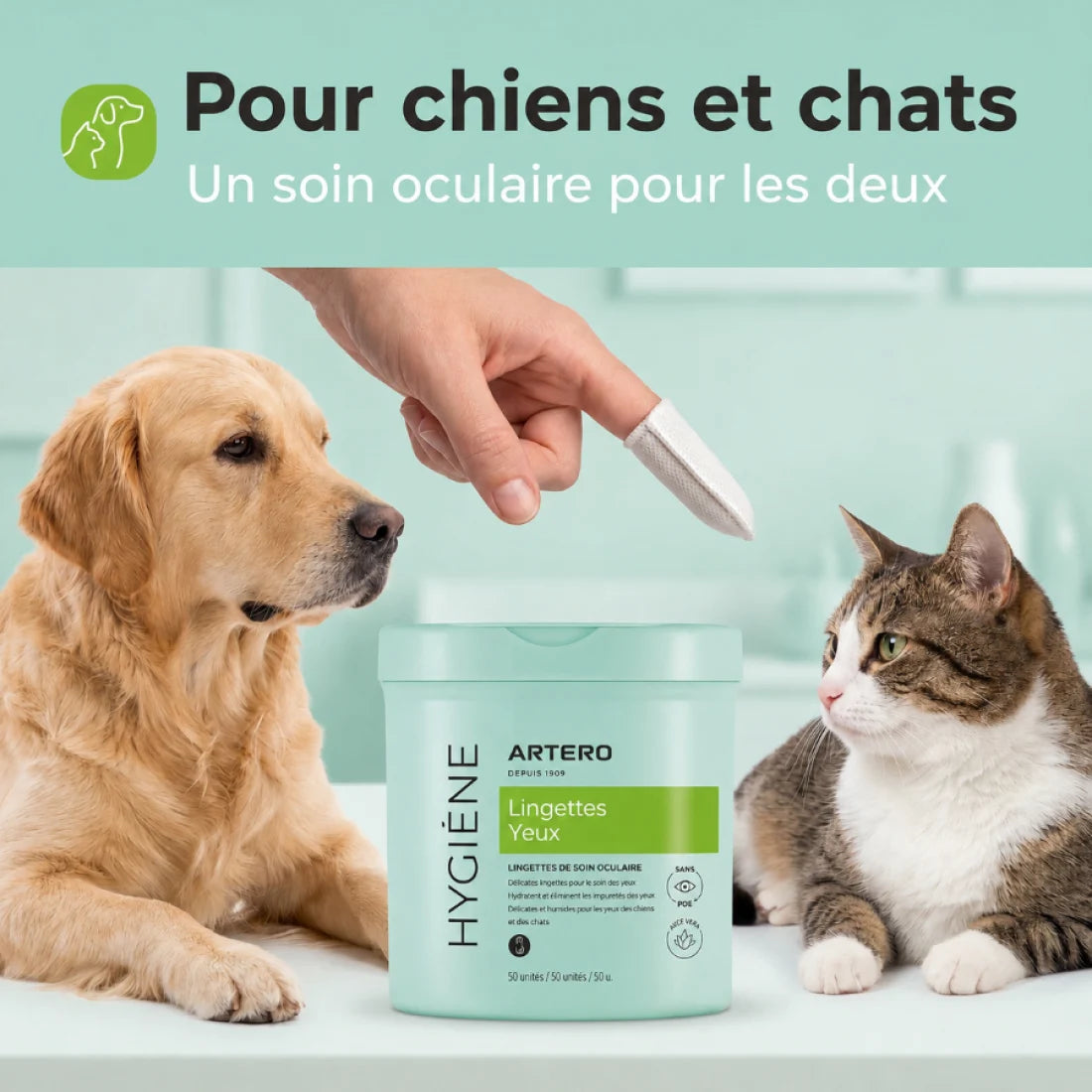 H686-Artero Doigtiers Pour Nettoyer Les Yeux CHIEN