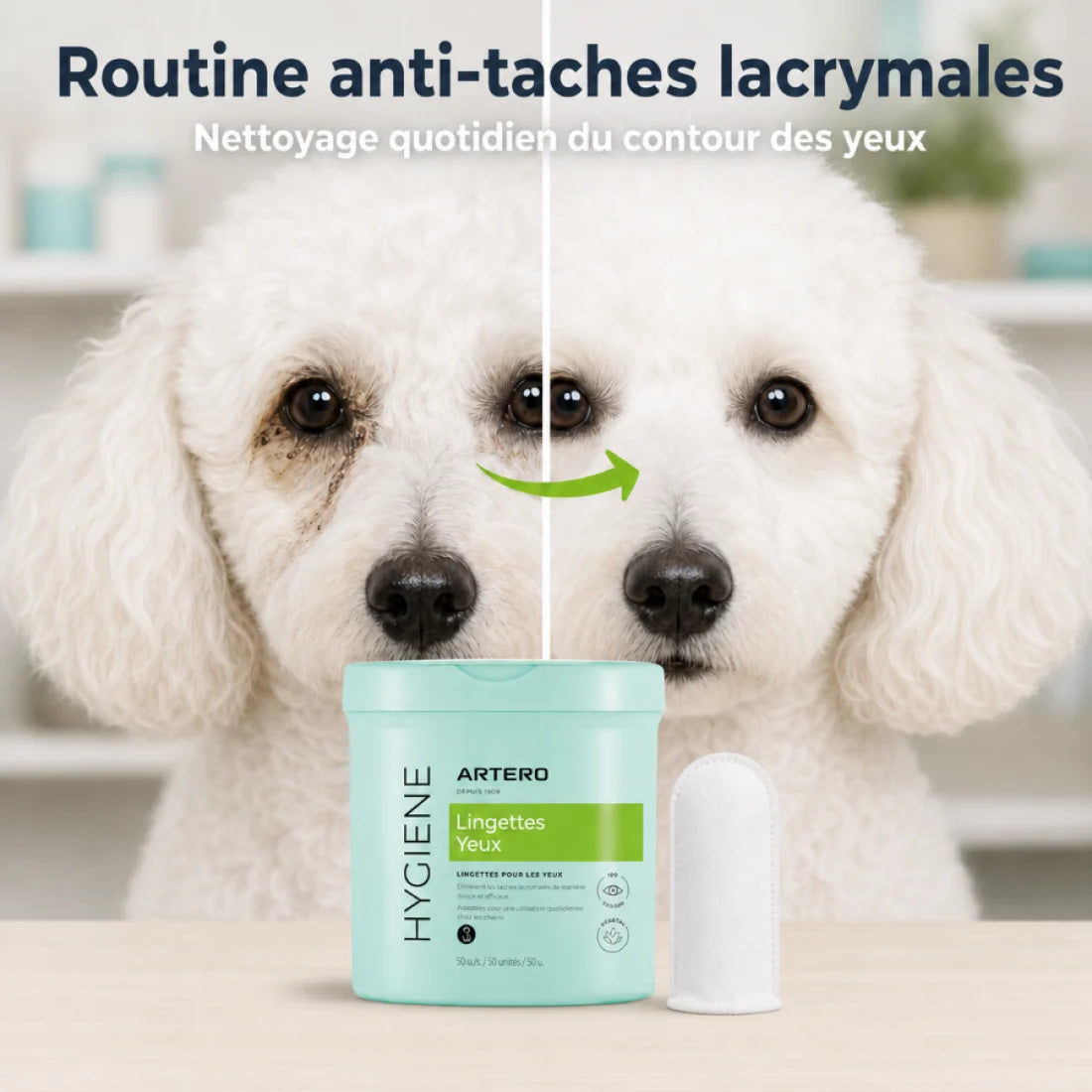 H686-Artero Doigtiers Pour Nettoyer Les Yeux CHIEN