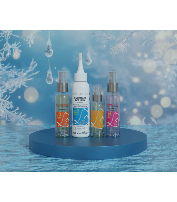 Coffret de Noel Lady Brillance