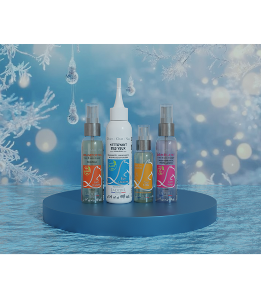 Coffret de Noel Lady Brillance