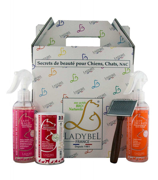 PACK PROMO LADYBEL COFFRET CHAT ET NAC
