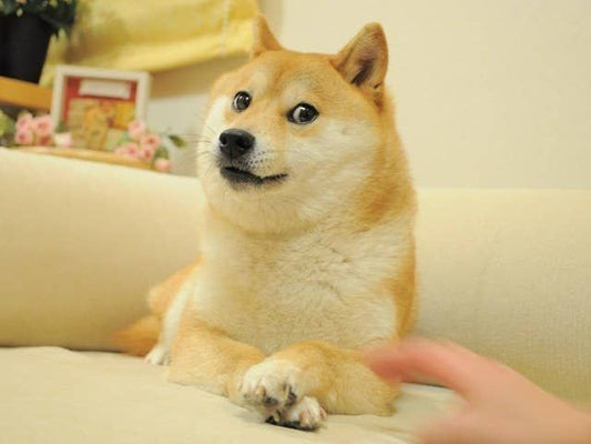 O0117